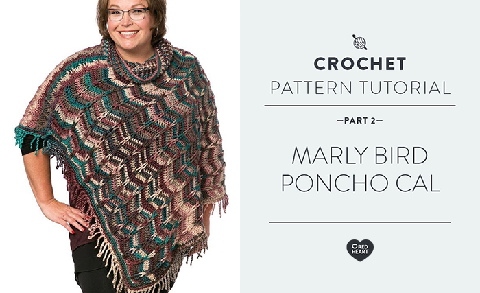 Image of Marly Bird Poncho CAL Part 2 of 4 thumbnail