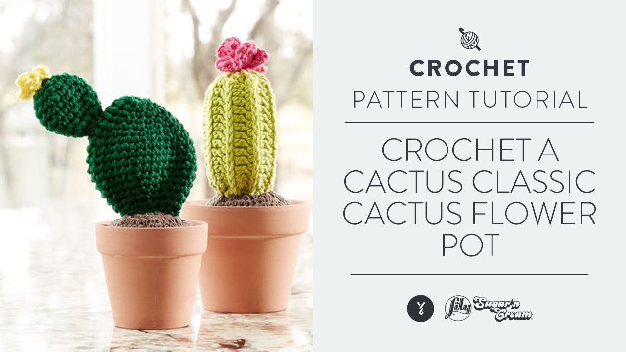 Image of Crochet a Cactus: Classic Cactus Flower Pot thumbnail
