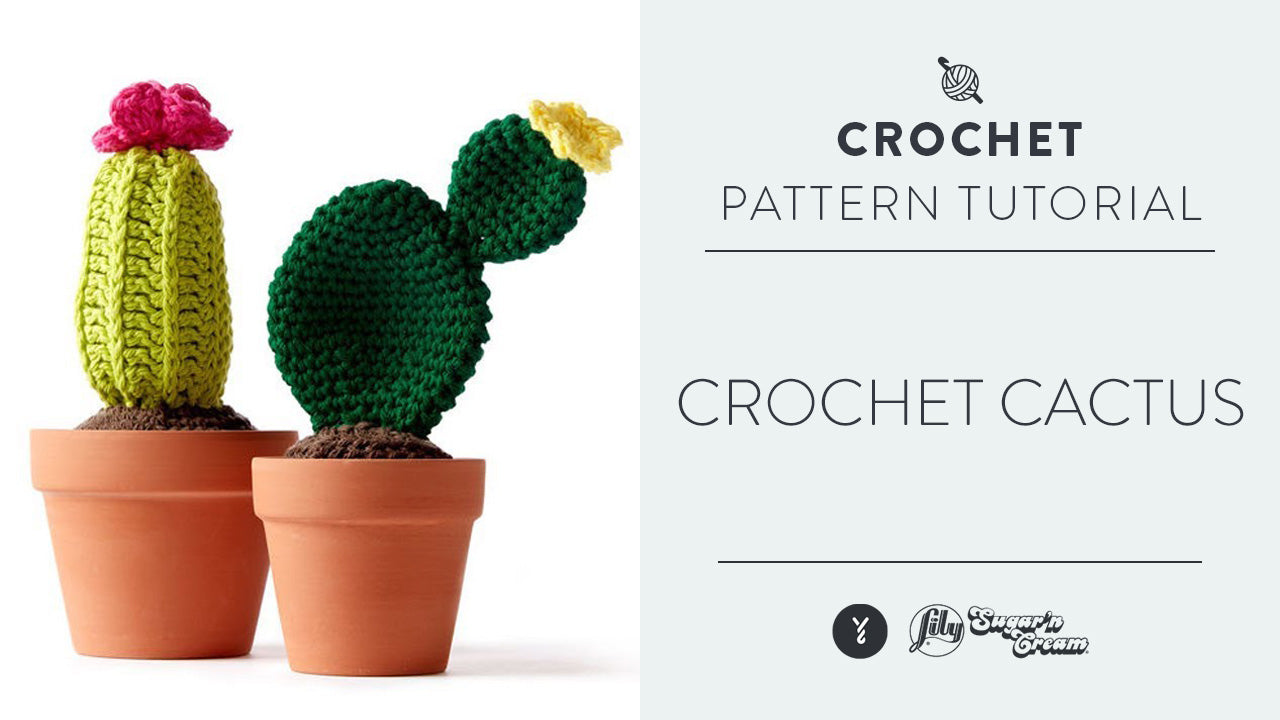 Image of Crochet: Cactus thumbnail