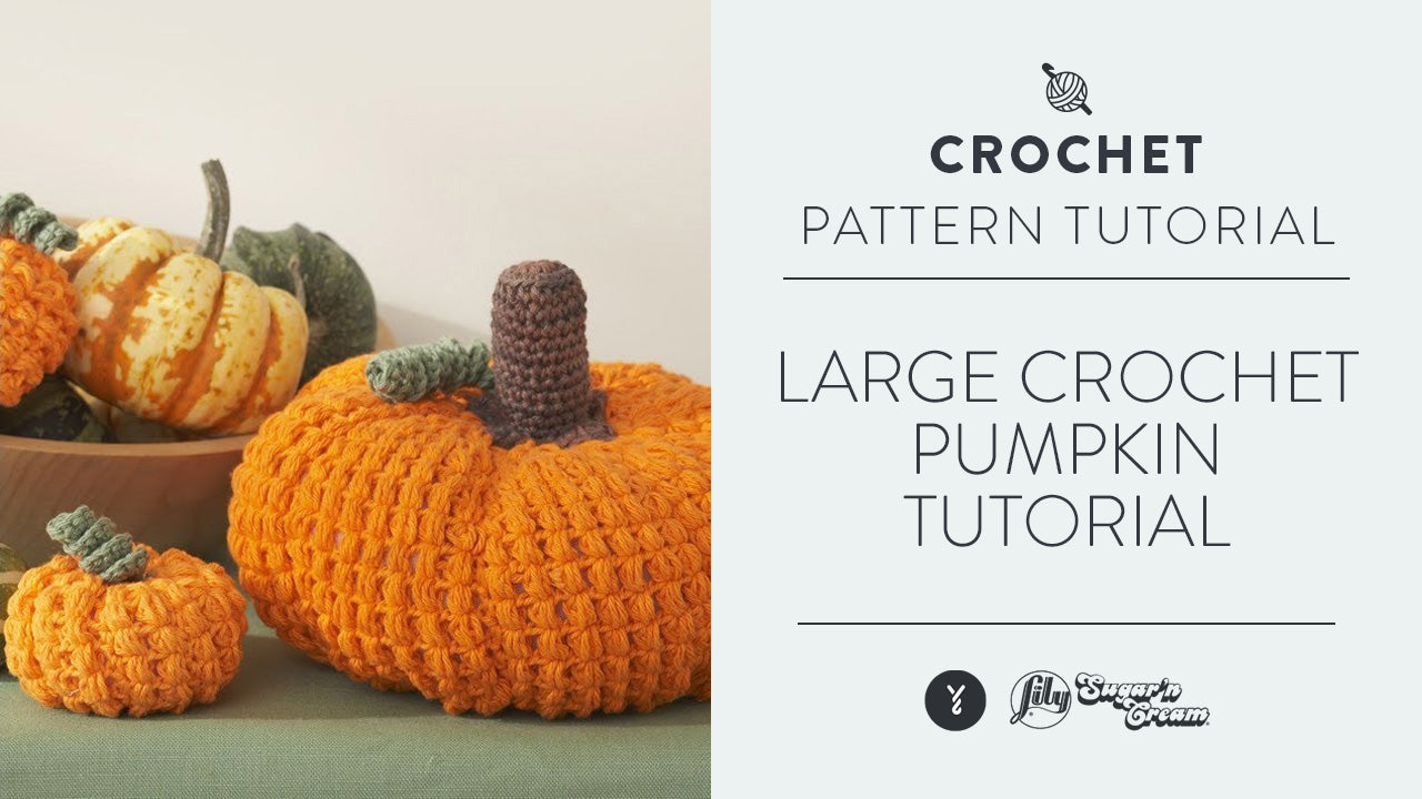 Image of Large Crochet Pumpkin Tutorial thumbnail
