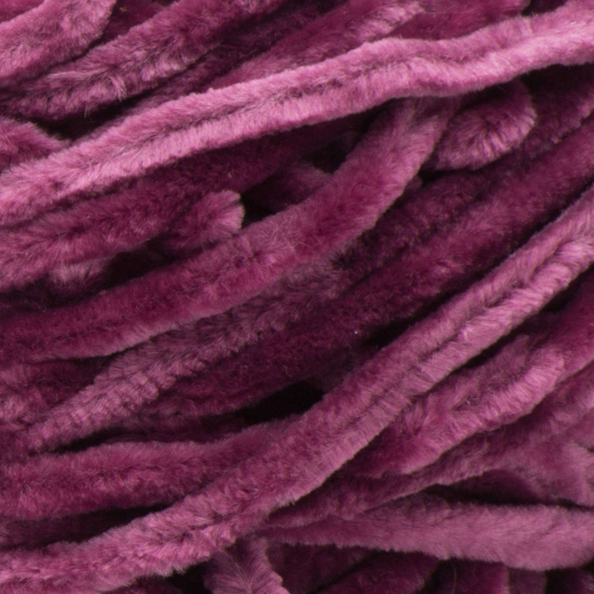 Burgundy Plum