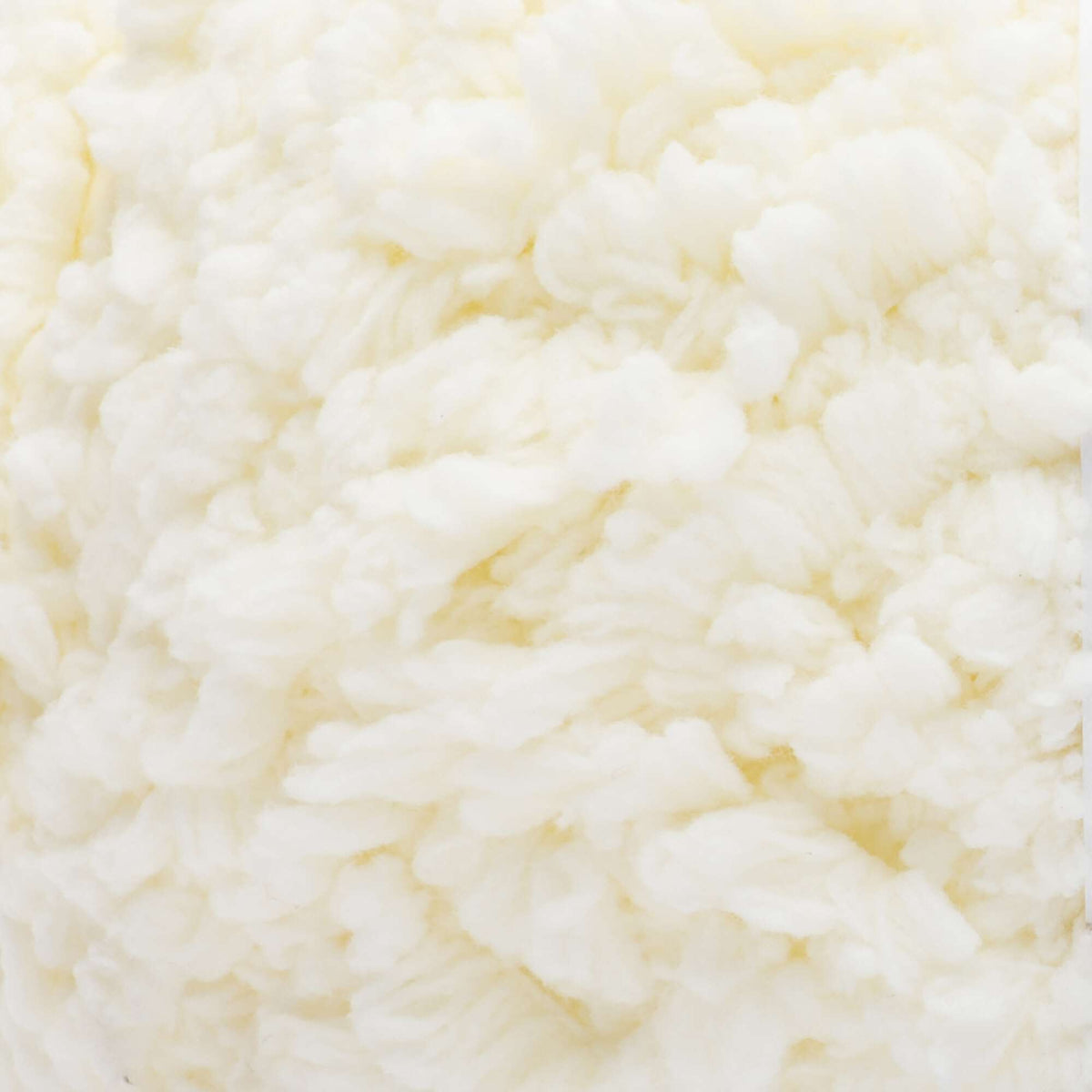 Cotton Tail