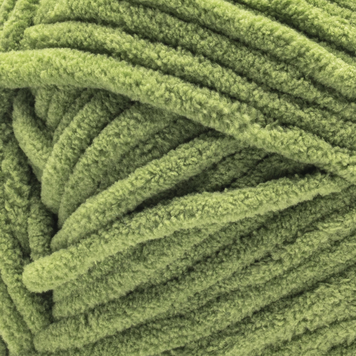 Fern
