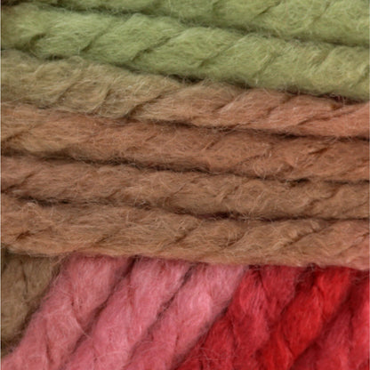 Bernat Softee Chunky Ombres Yarn - Discontinued Shades Summerset Ombre