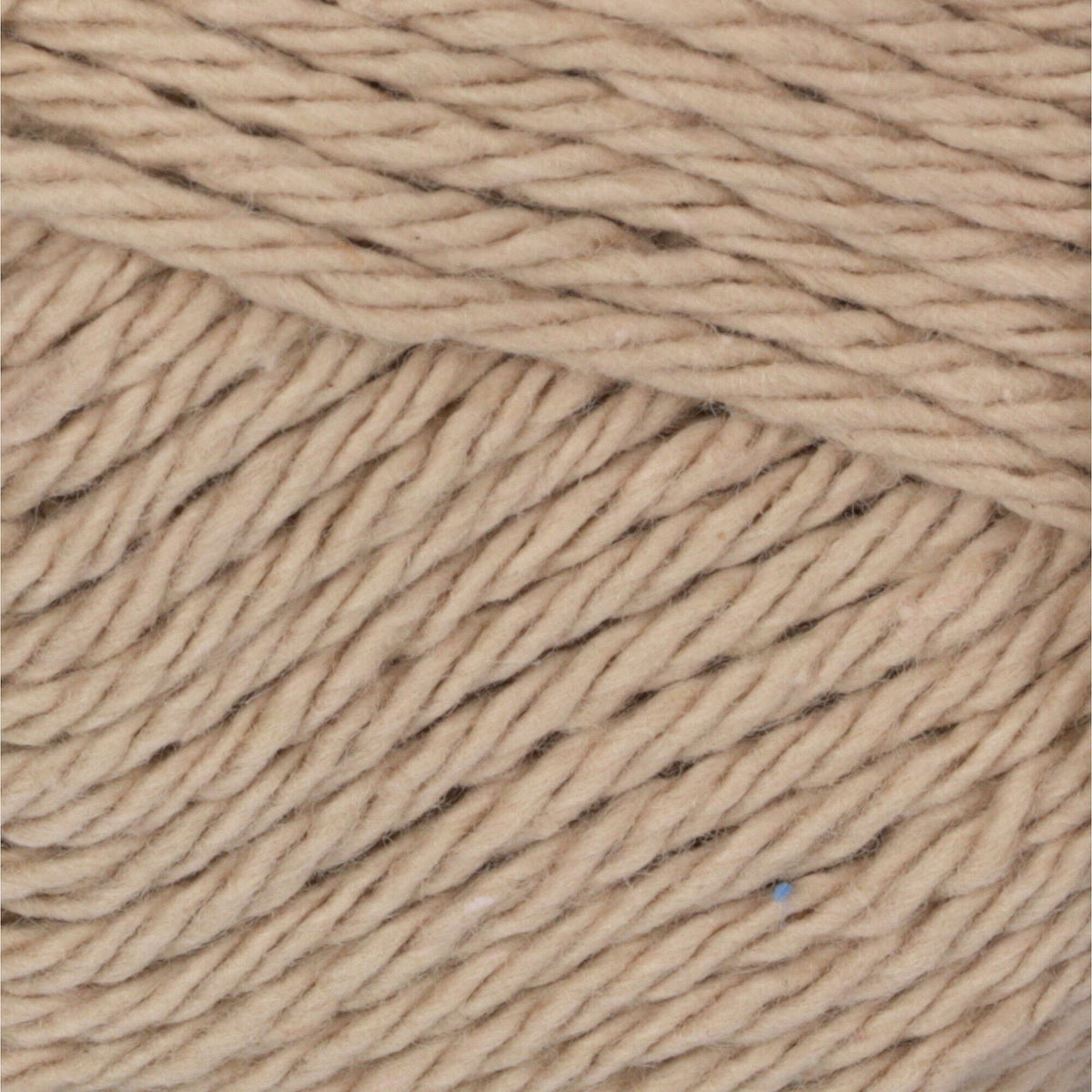 Jute