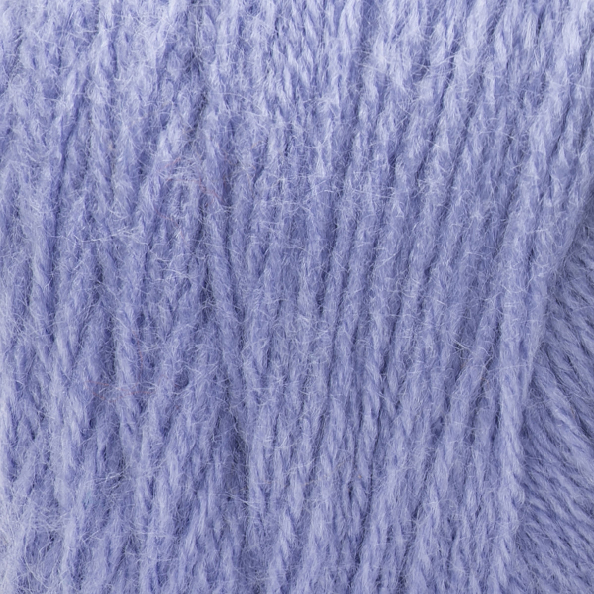 Wisteria