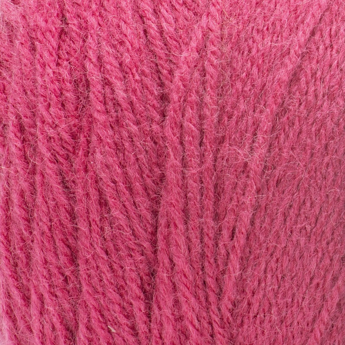 Tulip Pink