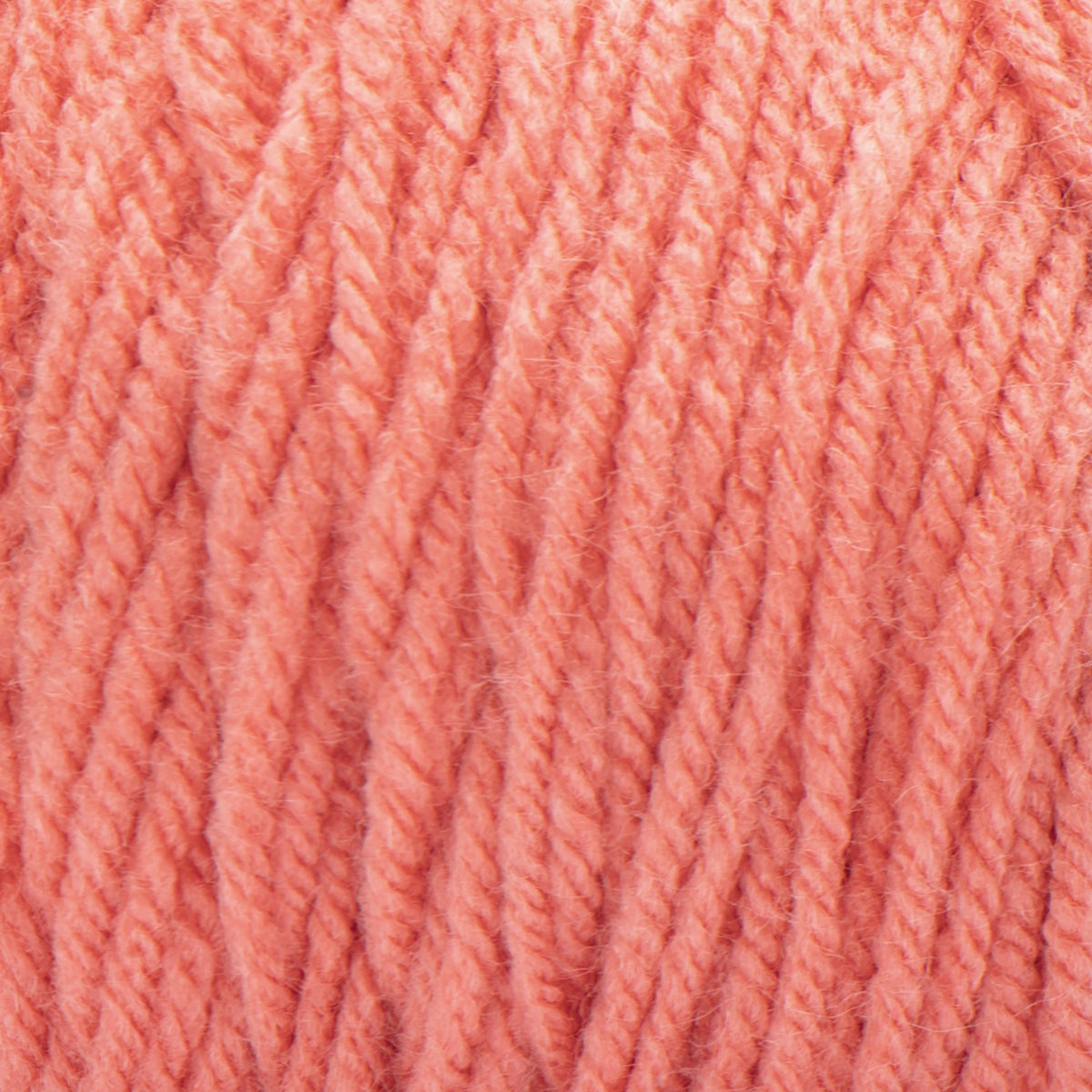 Coral Reef