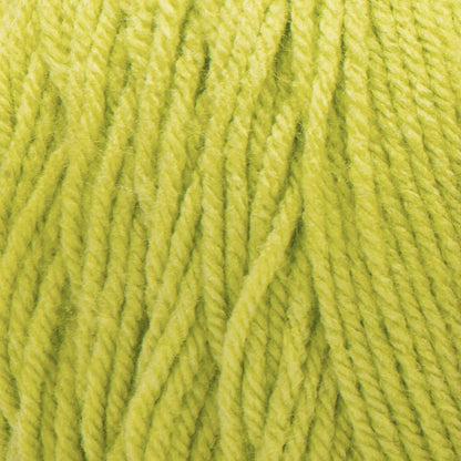 Bernat Premium Yarn - Discontinued Shades Kiwi