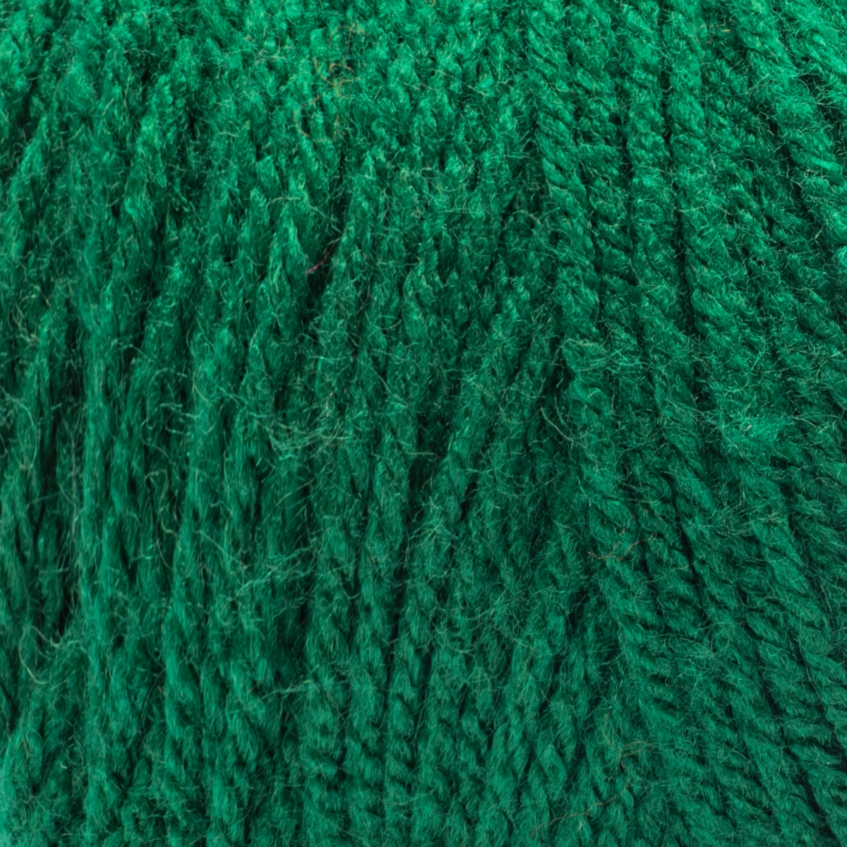 Paddy Green