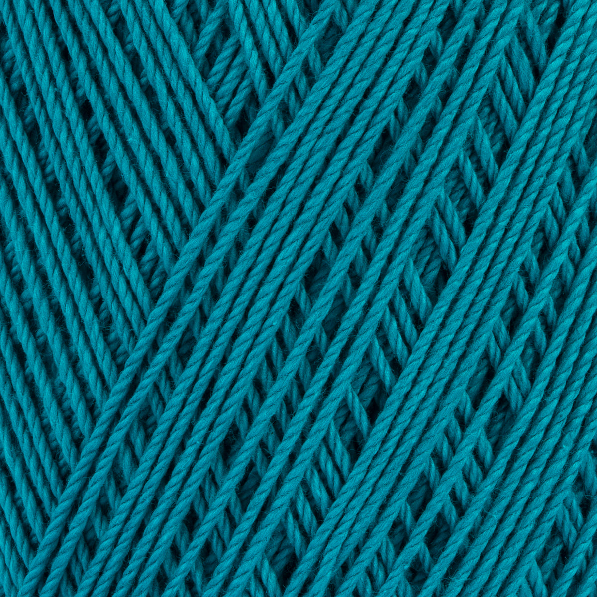Warm Teal