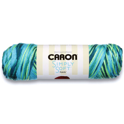 Caron Simply Soft Paints Yarn Caron Simply Soft Paints Yarn