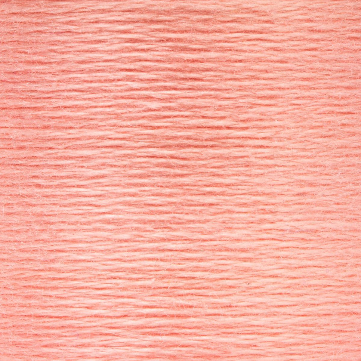 0008 Salmon Light