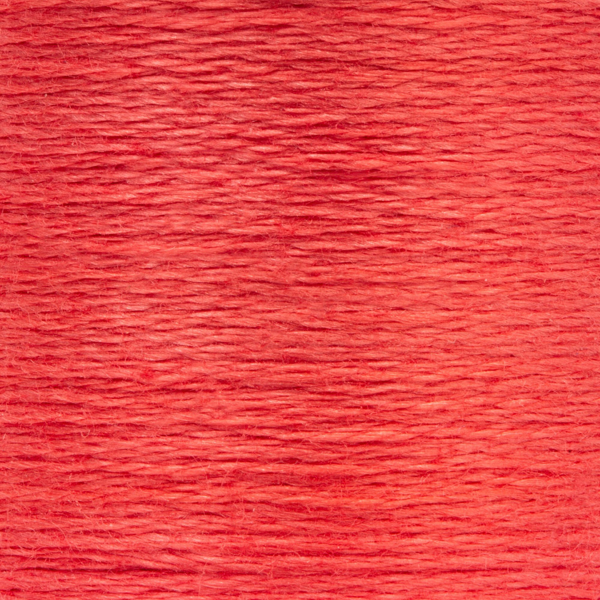 0011 Salmon Medium Dark