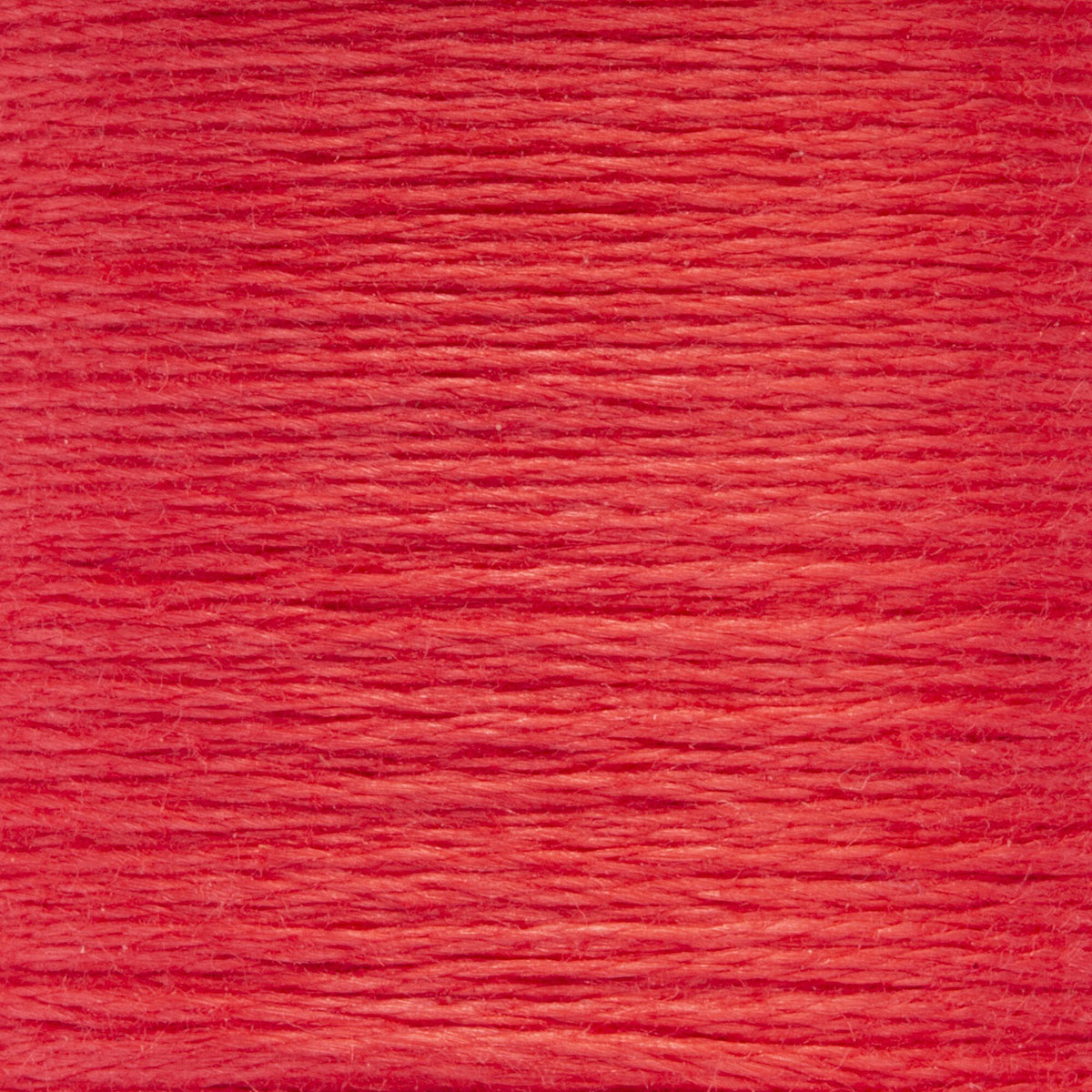 0035 Blush Dark