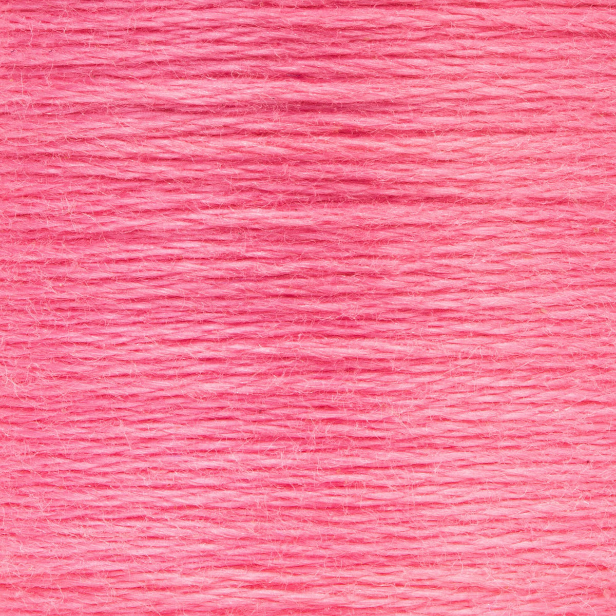 0052 China Rose Medium Dark