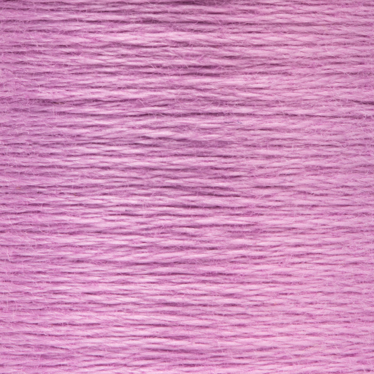 0096 Violet Light