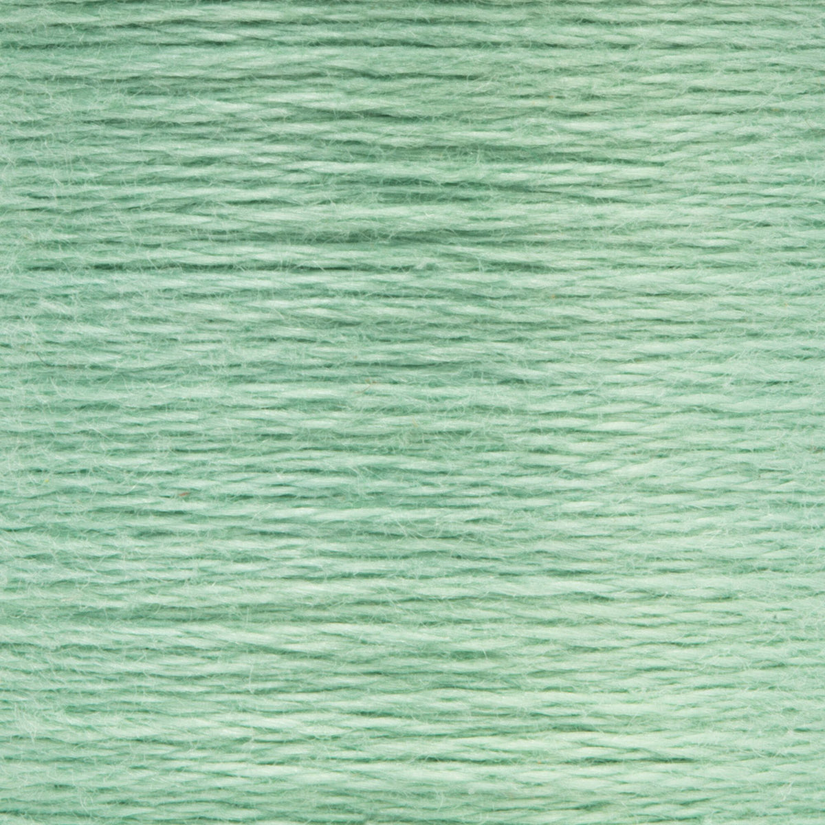 0206 Spruce Light