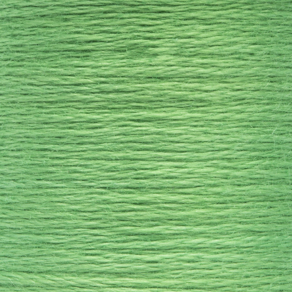 0225 Emerald Light
