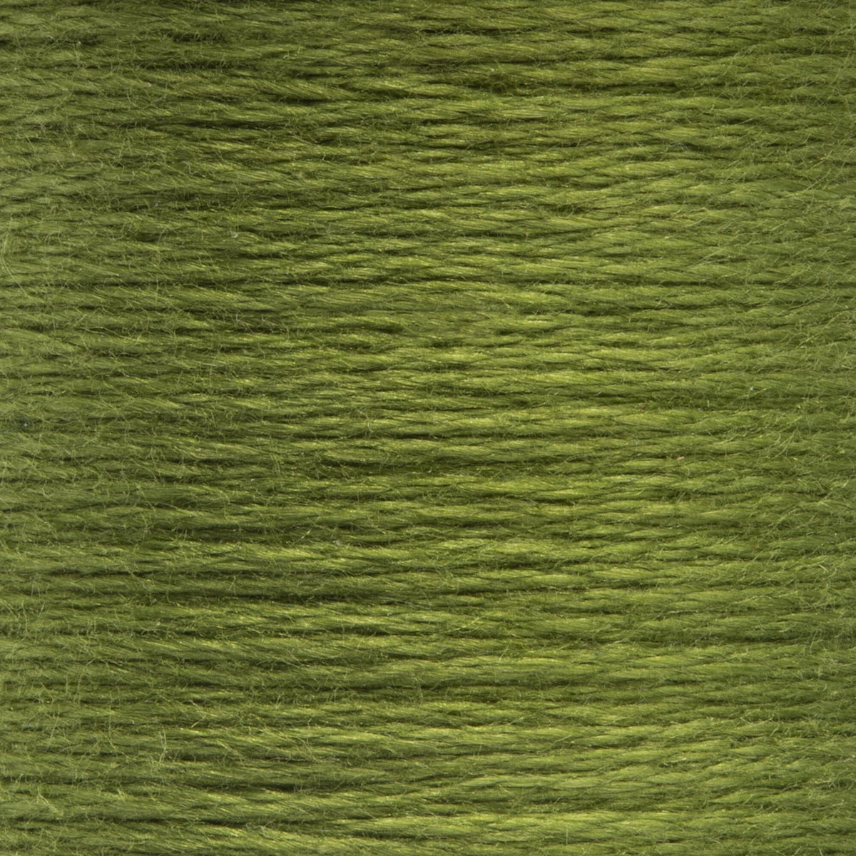 0267 Avocado Medium