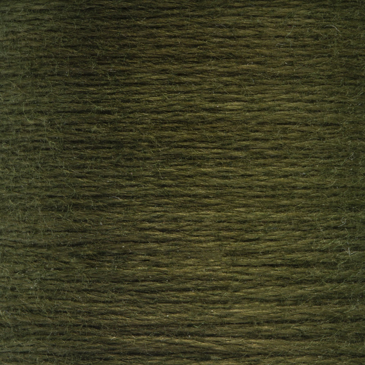 0269 Avocado Dark