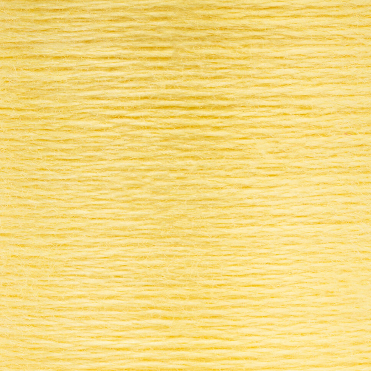 0293 Jonquil Light