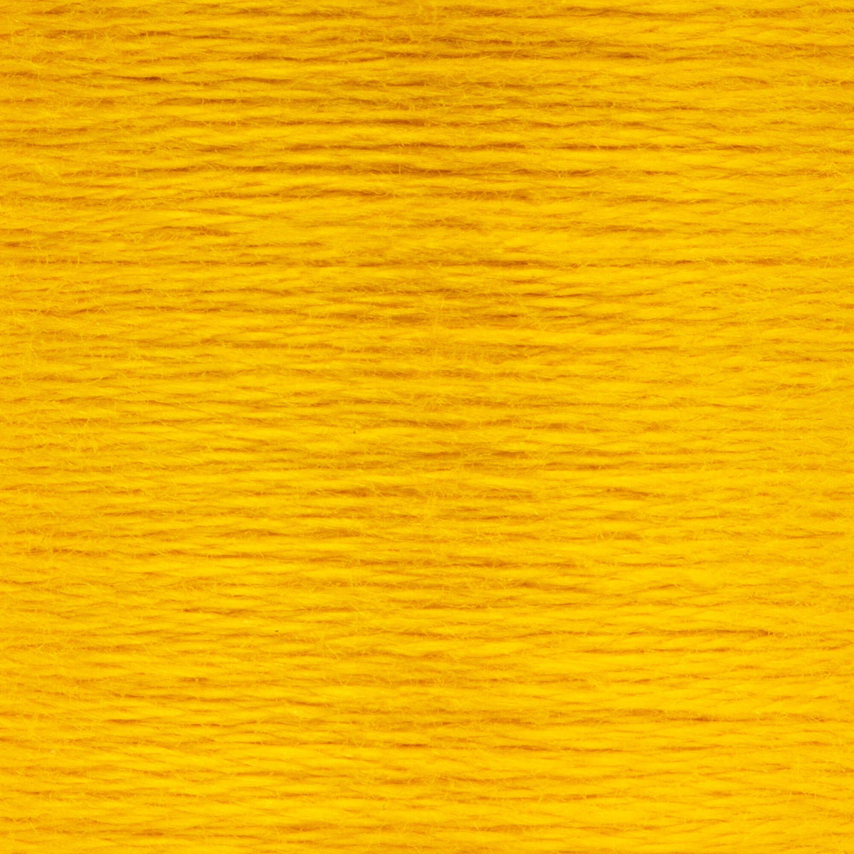 0298 Jonquil Dark