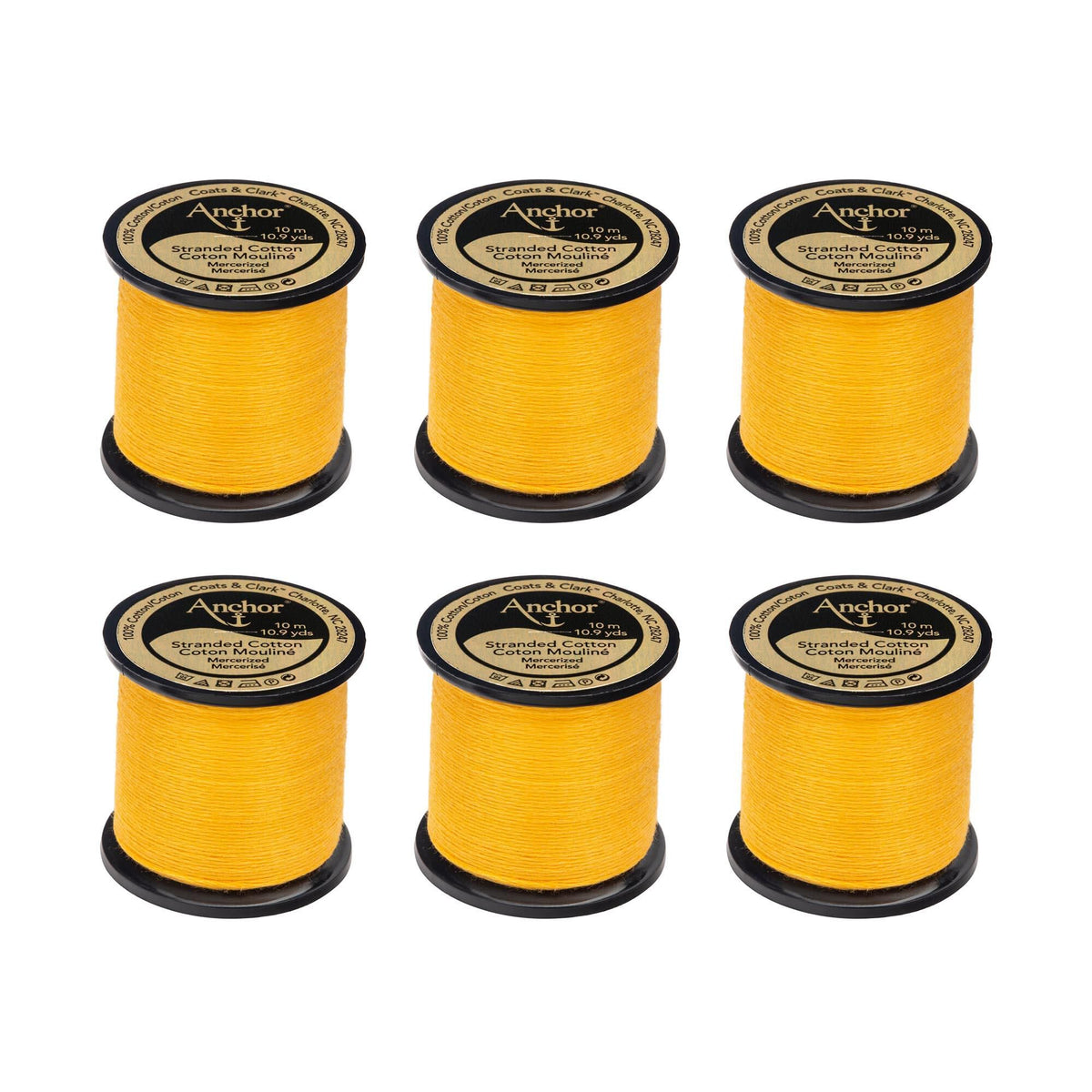 0302 Citrus Medium Light