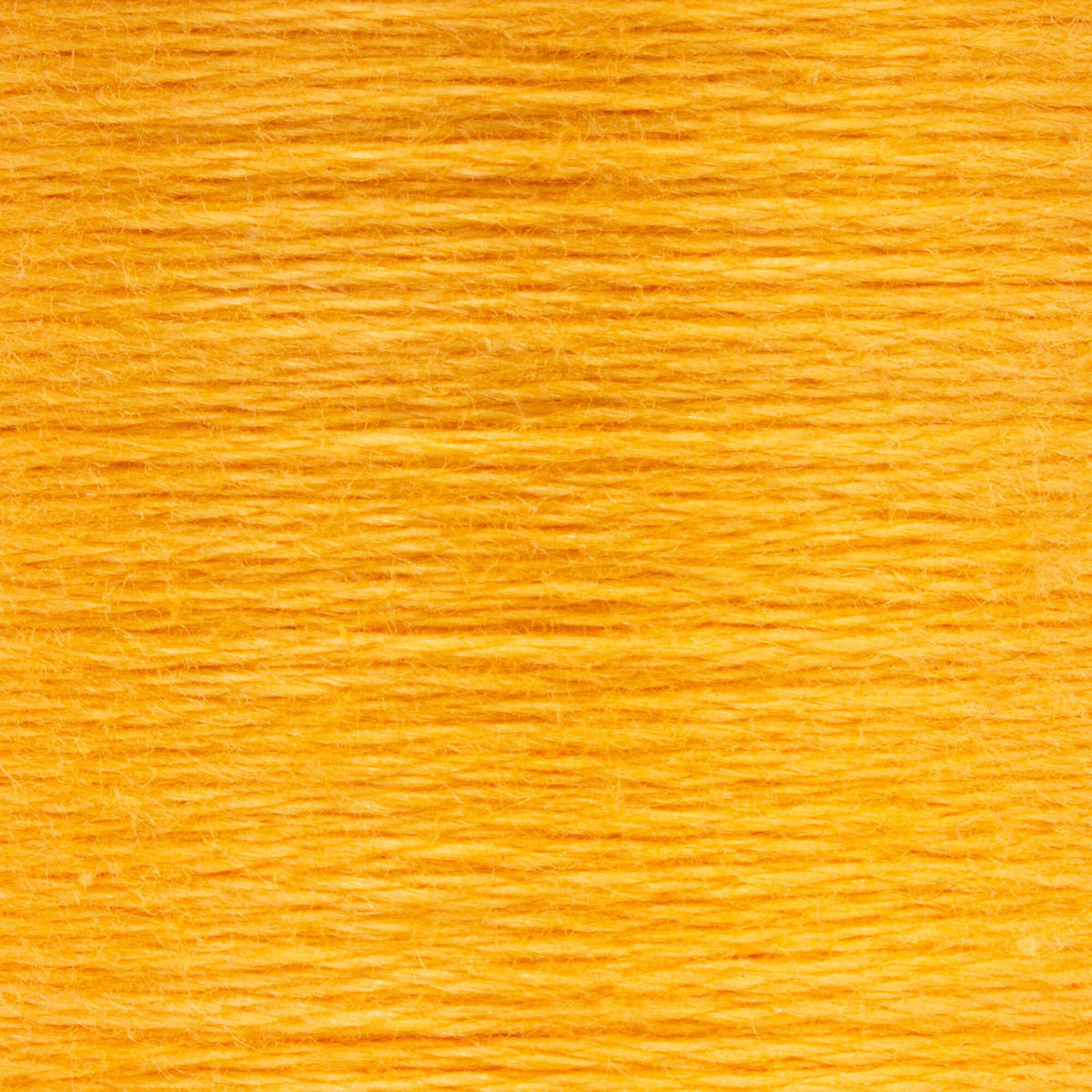 0313 Tangerine Light