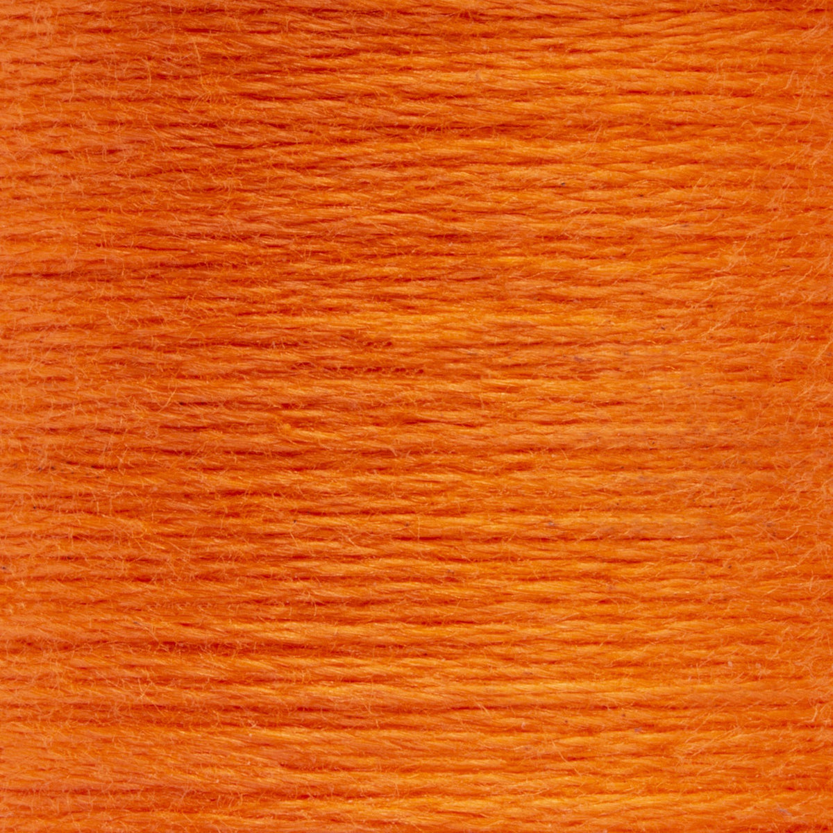 0329 Melon Medium
