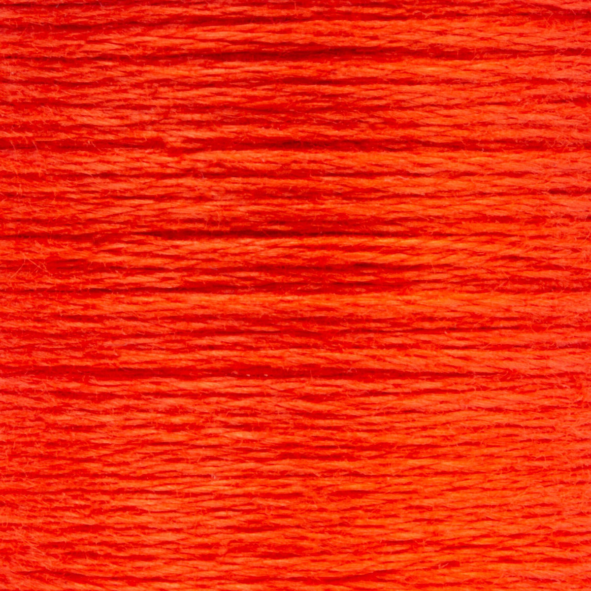 0333 Blaze Medium Light