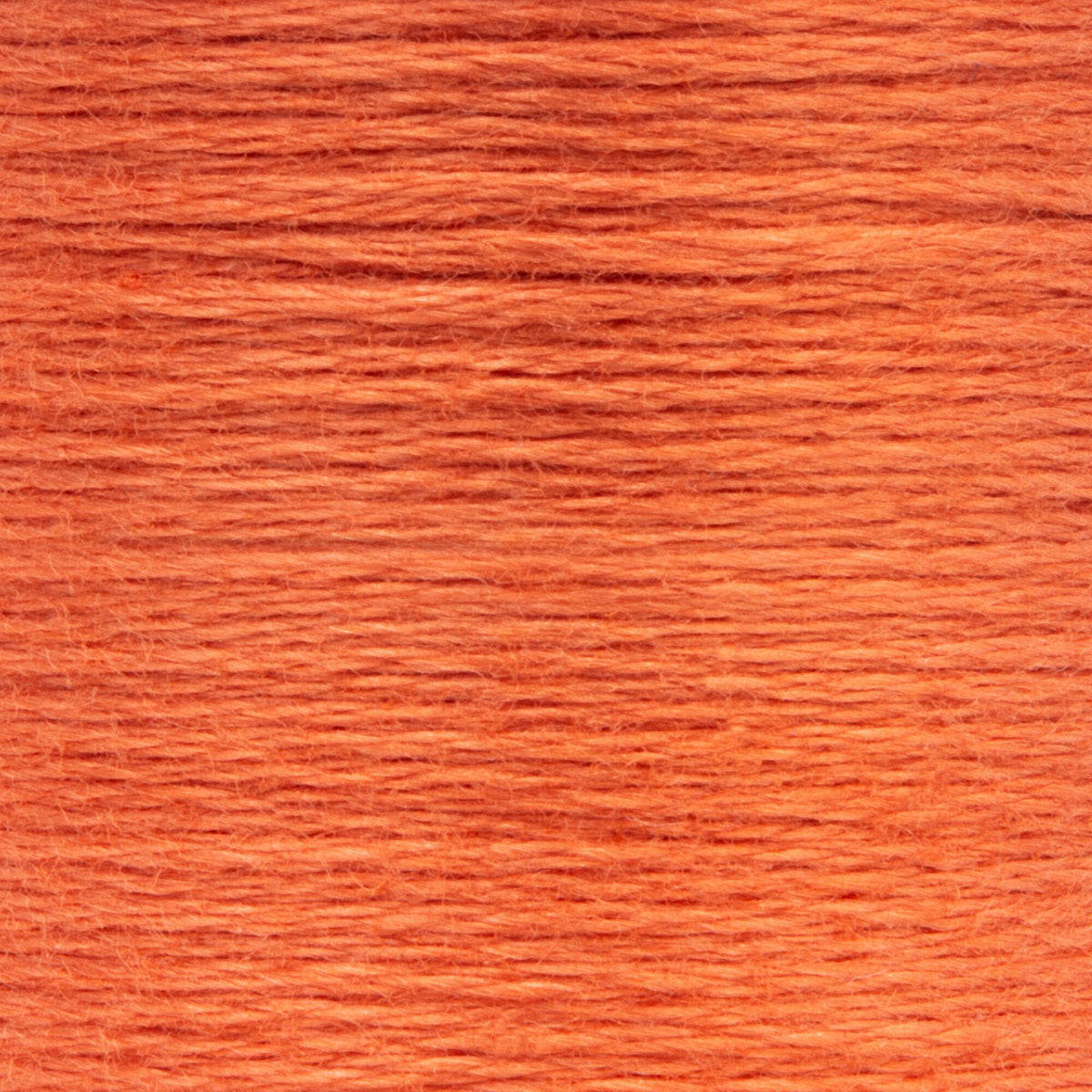 0338 Terra Cotta