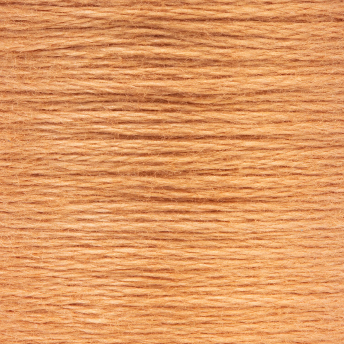 0347 Bark Light