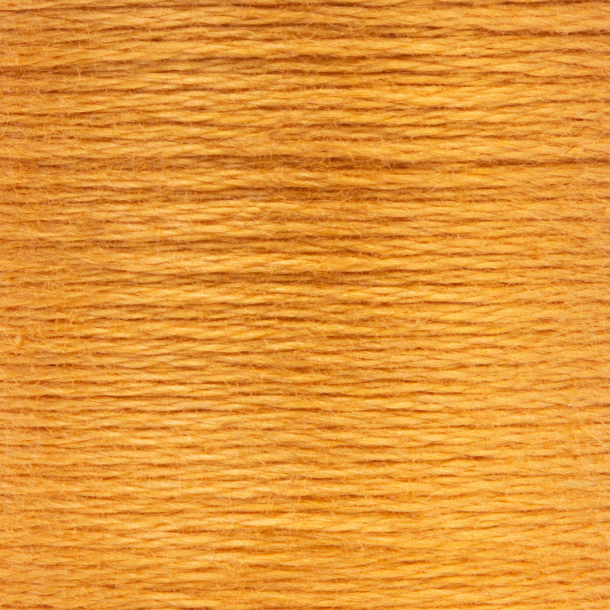 0363 Nutmeg Medium
