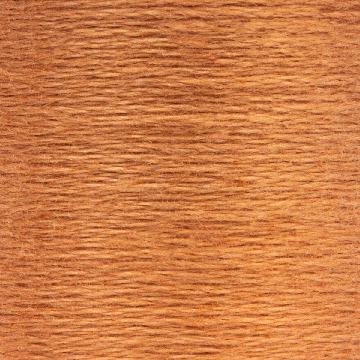 0369 Spice Medium