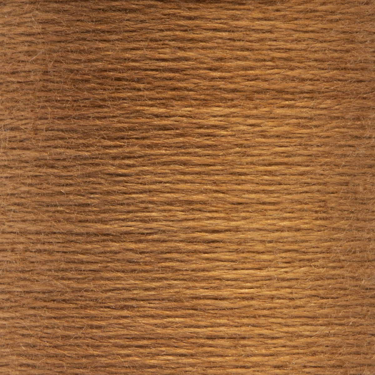 0374 Desert Medium Dark