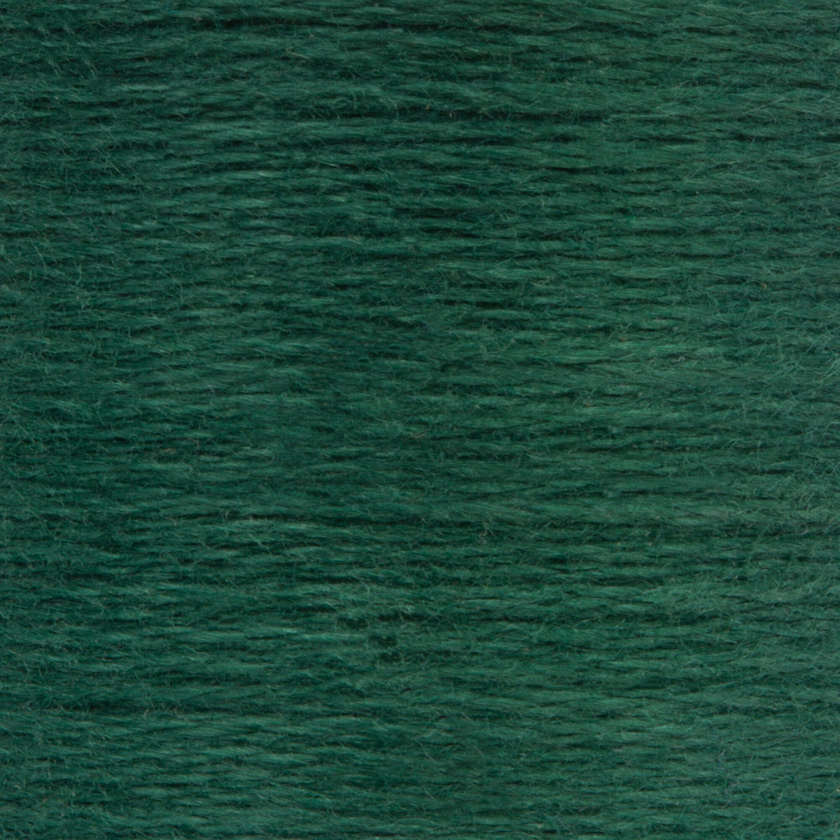 0879 Pine Dark