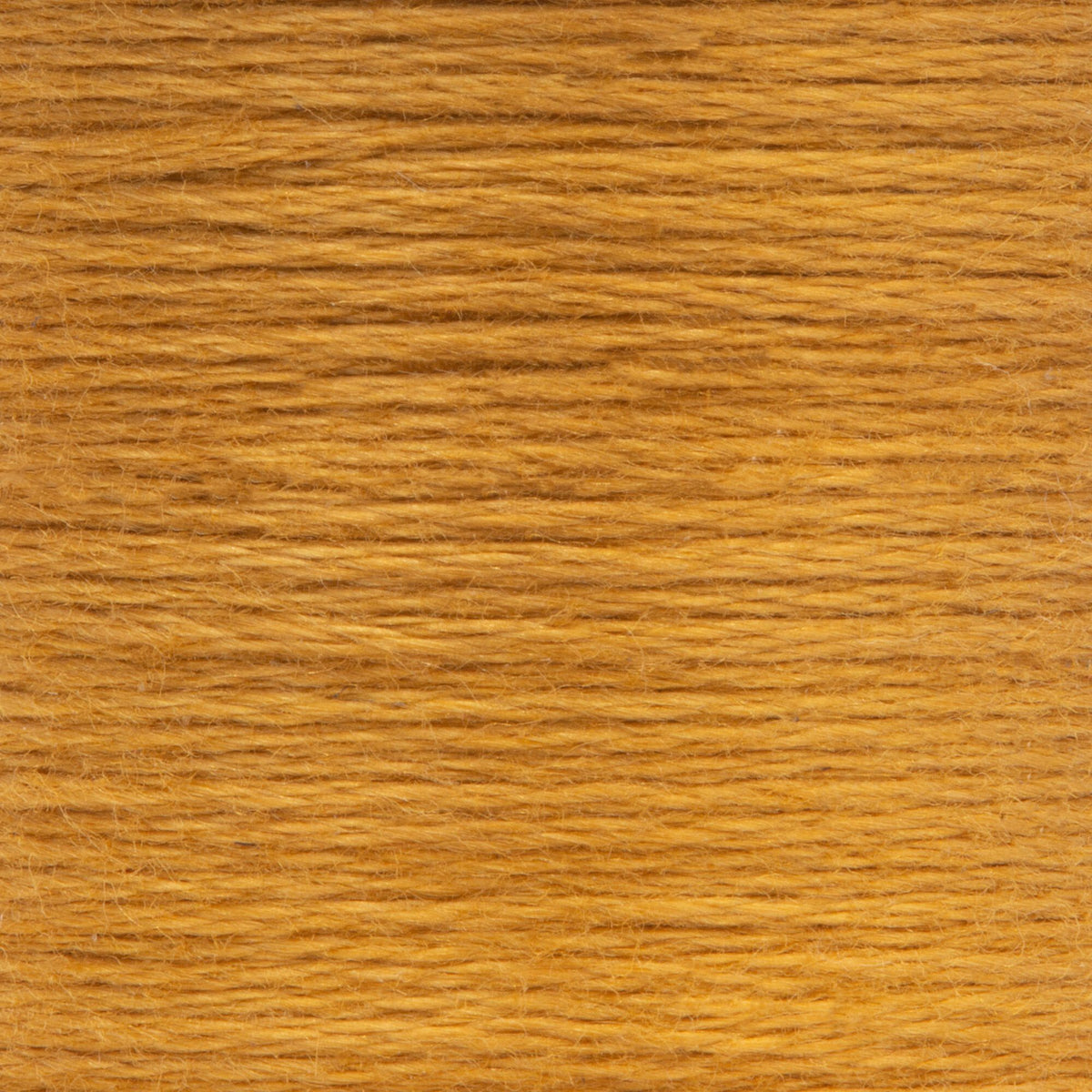 0907 Saffron Dark