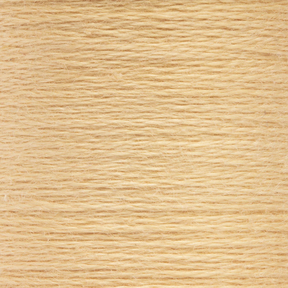 0942 Wheat Light