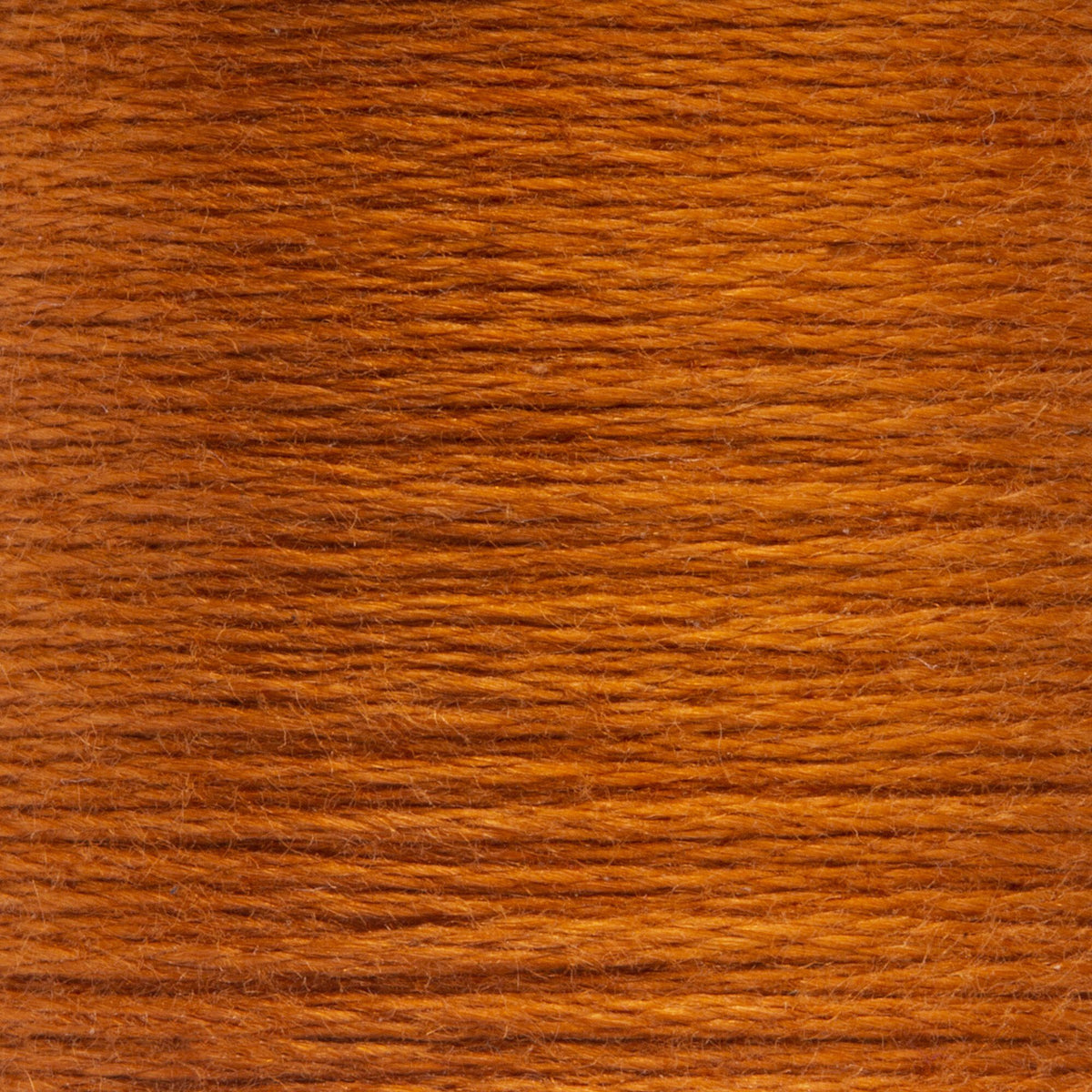 1049 Cinnamon