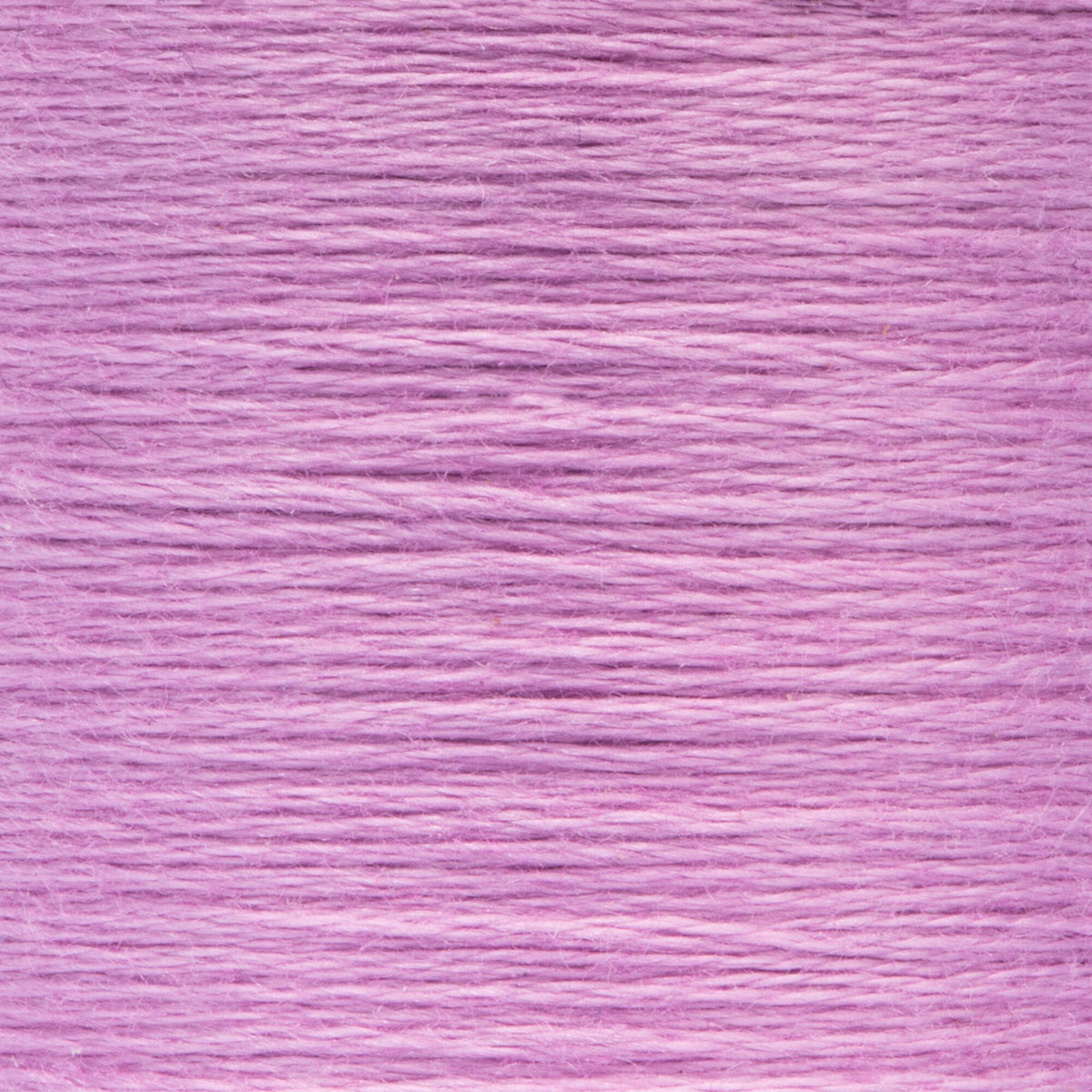 0096 Violet Light