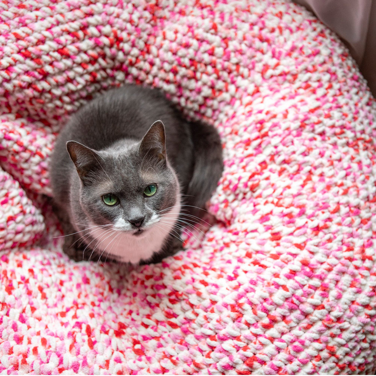 Crochet Pet Bed made in Bernat Blanket Yarn