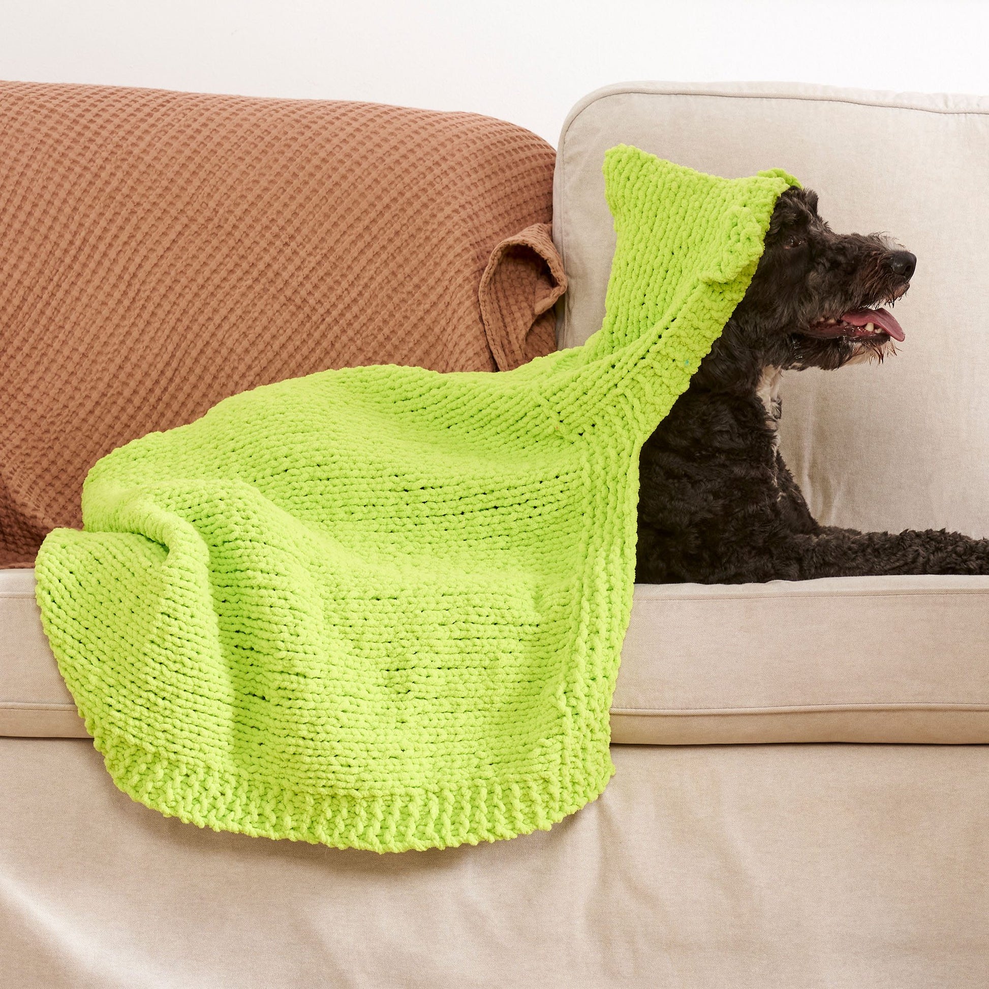 Free Bernat Bear Hug Hooded Knit Pet Blanket Pattern