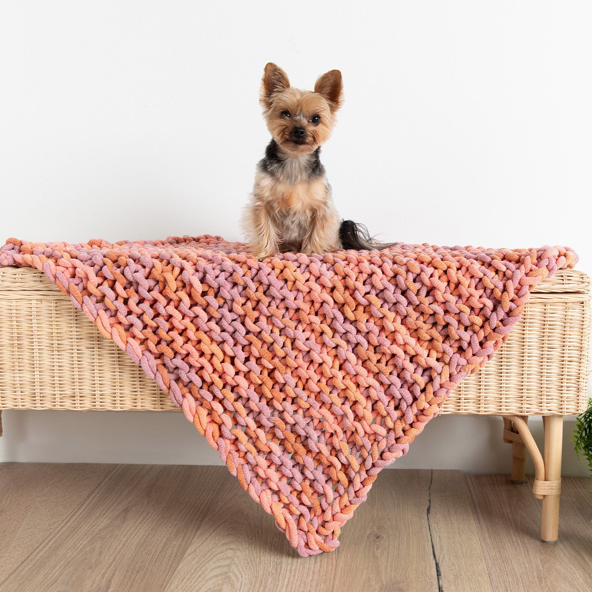 Free Bernat Easy Peasy Knit Pet Blanket Pattern