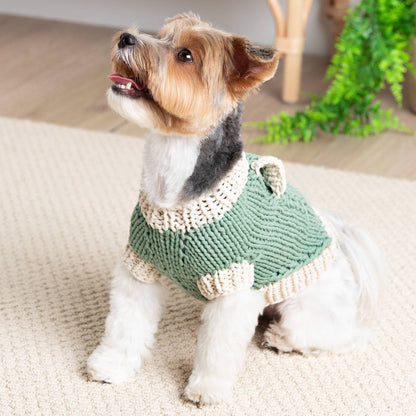 Bernat Classic Knit Sweater for Dogs Bernat Classic Knit Sweater for Dogs