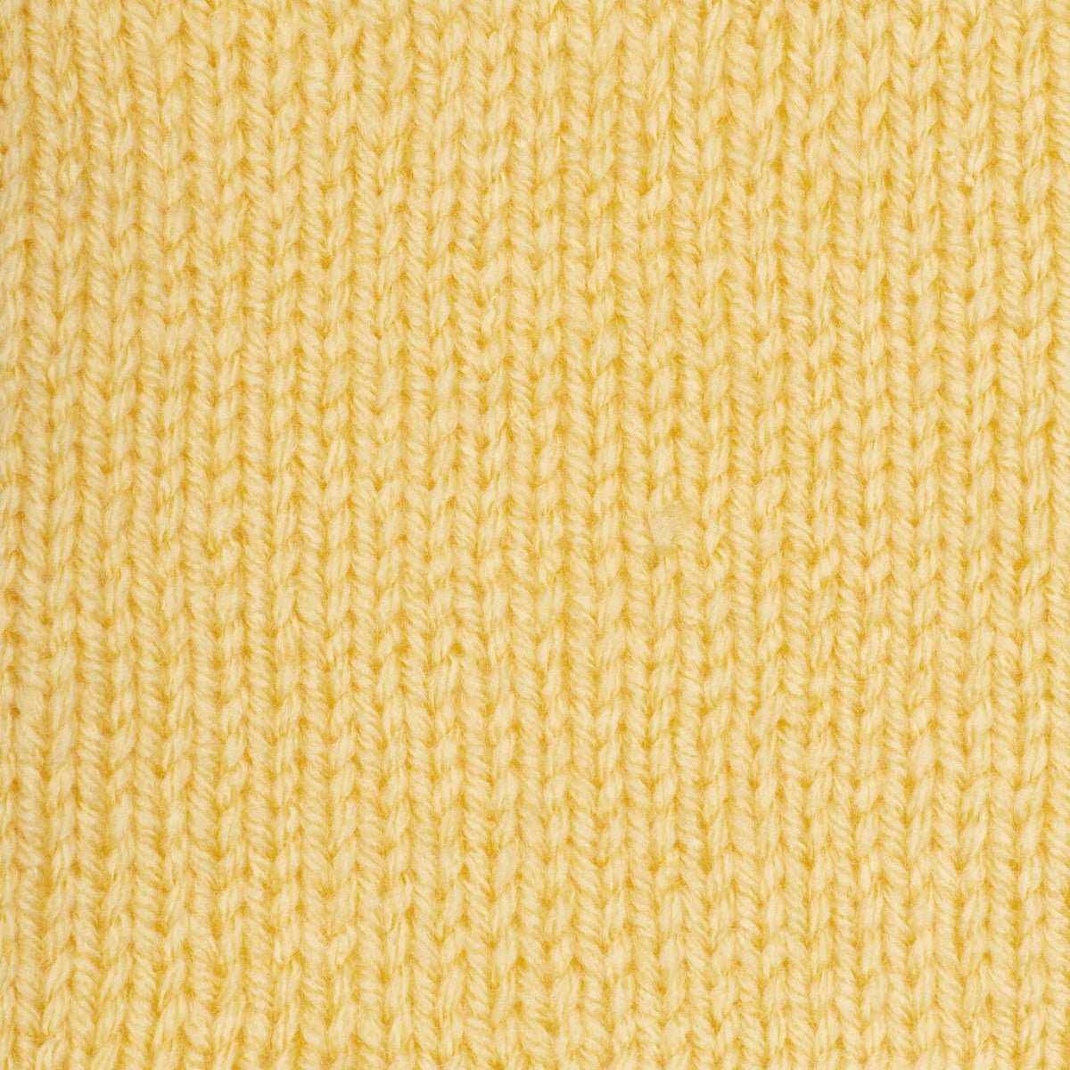 Cornmeal