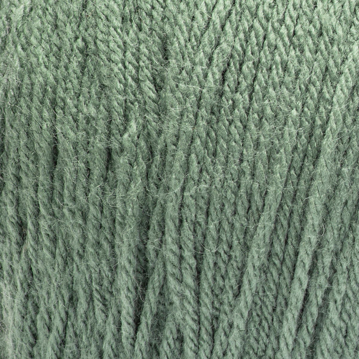 Light Sage
