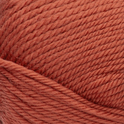Red Heart Soft Yarn - Discontinued Shades Cinnabar
