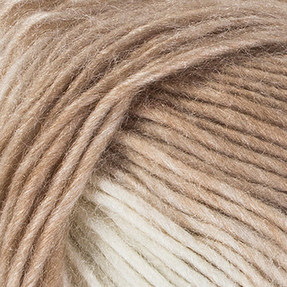 Red Heart Unforgettable Yarn Cappuccino