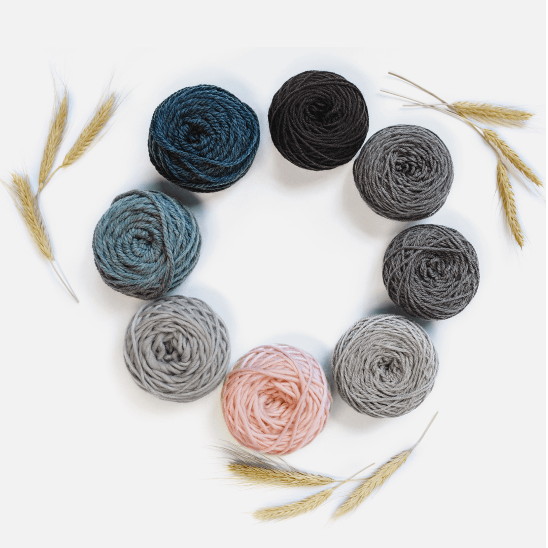 Patons brand's yarns on a white background.